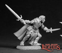 Dorian Starbow Elf Hero - Reaper Dark Haven Legends