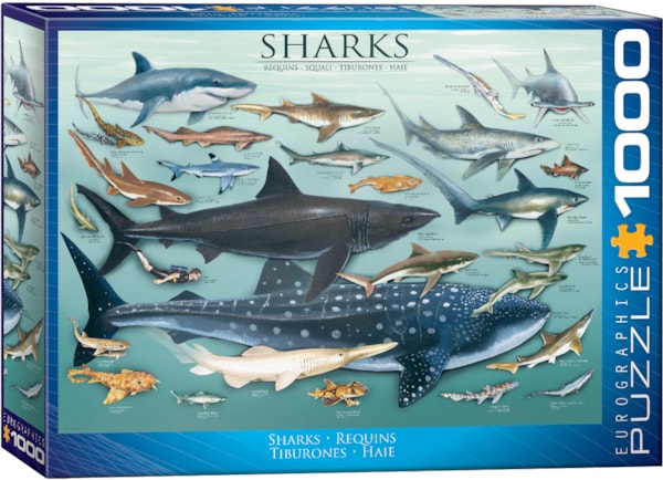 Sharks 1000pc - EuroGraphics Puzzle