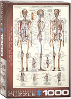 The Skeletal System 1000pc - EuroGraphics Puzzle