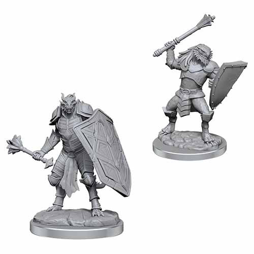 Dragonborn Clerics Male - Nolzur's Marvelous Unpainted Minis