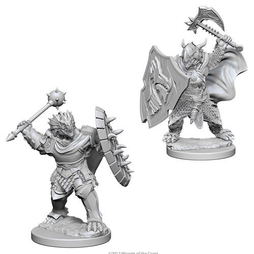 Dragonborn Paladin Male - Nolzur's Marvelous Unpainted Minis