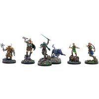 Legend of Drizzit: Drizzit & the Companions of the Hall - Dungeons and Dragons Collector's Series