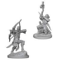 Elf Bard Male - Nolzur's Marvelous Unpainted Minis