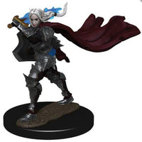 Elf Champion Female - Pathfinder Battles Premium Painted Figure