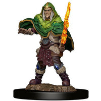 Elf Fighter Male - Icons of the Realms Premium Figures