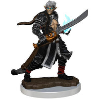 Elf Magus Male - Pathfinder Battles Premium Painted Figure