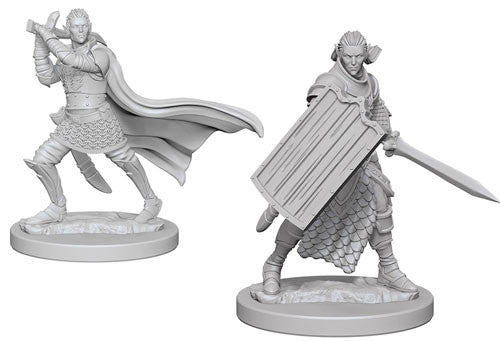 Elf Paladin Male - Pathfinder Battles Deep Cuts Unpainted Minis