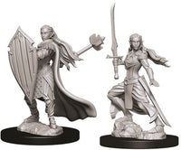 Elf Paladin Female - Nolzur's Marvelous Unpainted Minis