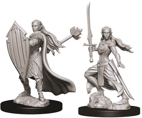 Elf Paladin Female - Nolzur's Marvelous Unpainted Minis