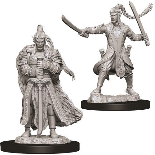 Elf Paladin Male - Nolzur's Marvelous Unpainted Minis