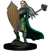 Elf Paladin Female - Icons of the Realms Premium Painted Figure