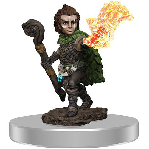 Gnome Druid Male - Pathfinder Battles Premium Painted Figure