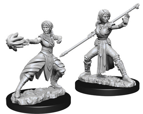 Half-Elf Monk Female - Nolzur's Marvelous Unpainted Minis