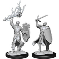 Half-Elf Paladin Male - Nolzur's Marvelous Unpainted Minis