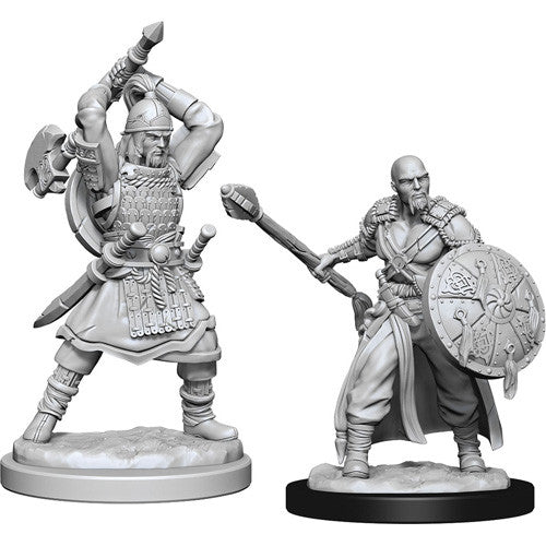 Human Barbarian Male - Nolzur's Marvelous Unpainted Minis