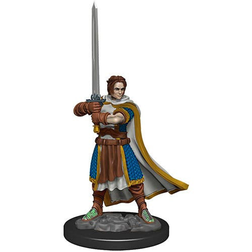 Human Cleric Male - Icons of the Realms Premium Painted Figure