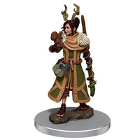 Human Druid Female - Icons of the Realms Premium Painted Figure