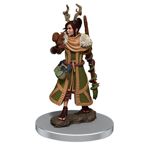 Human Druid Female - Icons of the Realms Premium Painted Figure