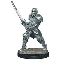 Human Fighter Male - Icons of the Realms Premium Figures