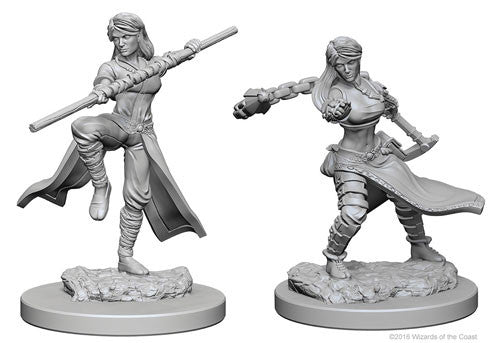 Human Monk Female - Nolzur's Marvelous Unpainted Minis