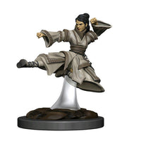 Human Monk Female - Icons of the Realms Premium Painted Figure