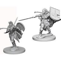 Human Paladin Female - Pathfinder Battles Deep Cuts Unpainted Minis