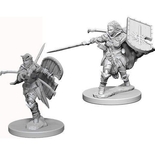 Human Paladin Female - Pathfinder Battles Deep Cuts Unpainted Minis