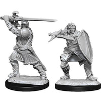 Human Paladin Male - Nolzur's Marvelous Unpainted Minis