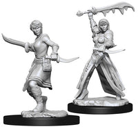 Human Rogue Female - Nolzur's Marvelous Unpainted Minis