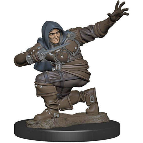 Human Rogue Male - Pathfinder Battles Premium Painted Figure