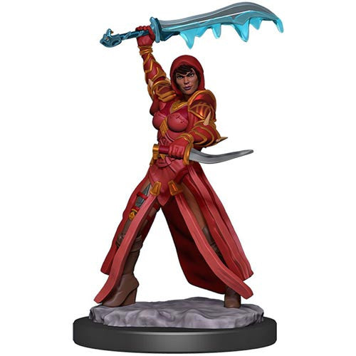 Human Rogue - Icons of the Realms Premium Painted Figure