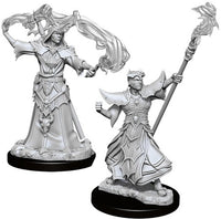 Human Sorcerer Male - Pathfinder Battles Deep Cuts Unpainted Minis