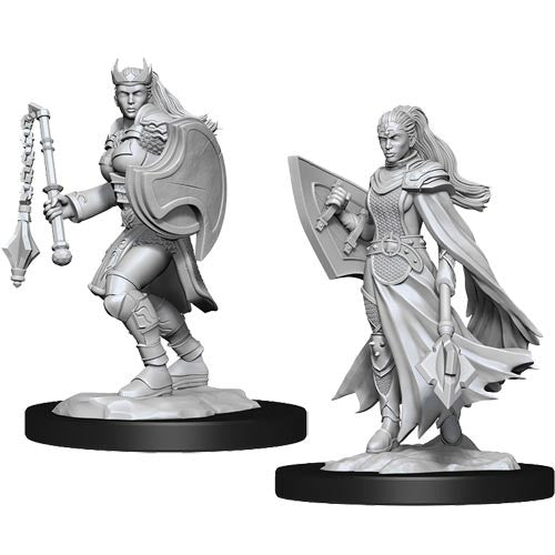 Kalashtar Cleric Female - Nolzur's Marvelous Unpainted Minis