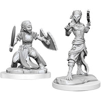 Shifter Fighter - Nolzur's Marvelous Unpainted Minis