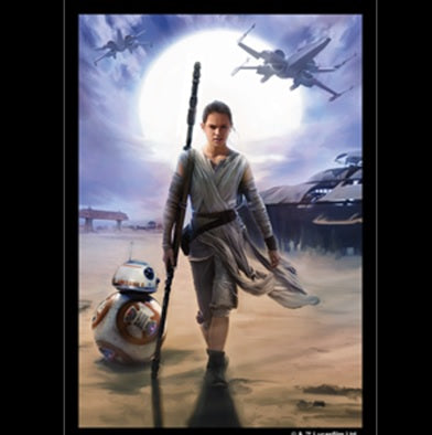 Star Wars Limited Edition Art Sleeves (Rey) - Fantasy Flight Games