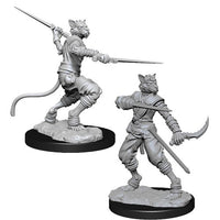 Tabaxi Rogue Male - Nolzur's Marvelous Unpainted Minis