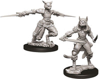 Tabaxi Rogue Female - Nolzur's Marvelous Unpainted Minis