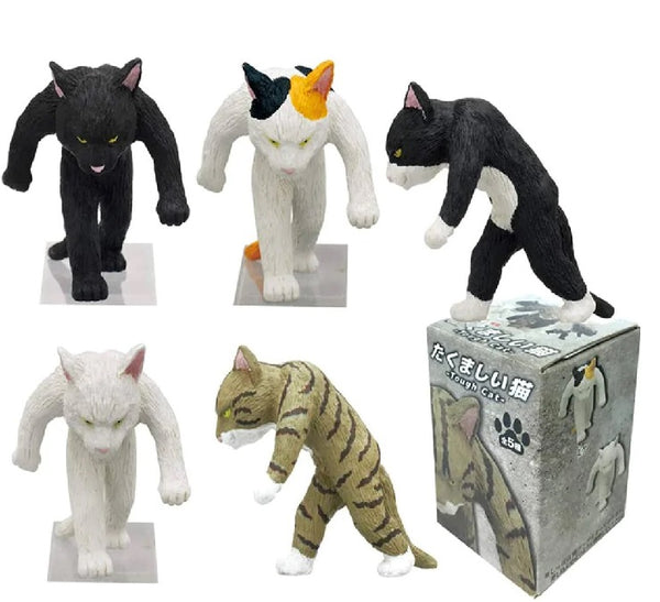 Tough Cat (Blind Box) - Kitan Club