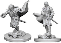 Vampires - Nolzur's Marvelous Unpainted Minis